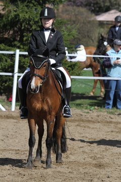 Bild 481 - WBO-Turnier am 9.4.11